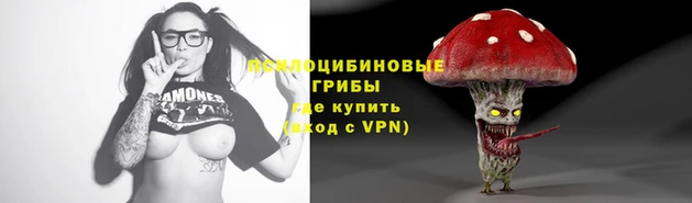 мет Вяземский