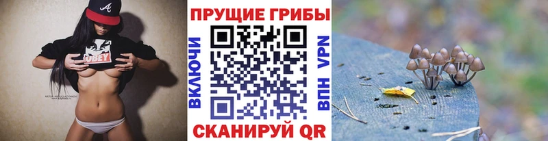 Псилоцибиновые грибы мицелий  закладка  Заполярный 